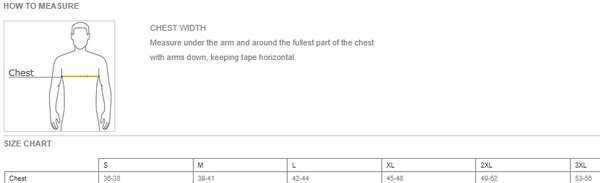 FHLN TNF Ambition Polo-Shady Blue